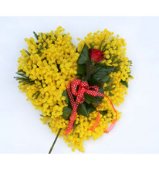 Cuore di mimosa