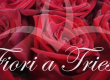 Foto Mazzo di rose rosse a gambo lungo.